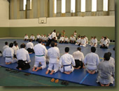 Aikido Seminario Donovan Waite Shihan 2013 Buenos Aires :: Fotos Musubi aikikai Escuela de Aikido Argentina