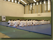 Aikido Seminario Peter Bernath Shihan Diciembre 2012 Buenos Aires :: Fotos Musubi aikikai Escuela de Aikido Argentina